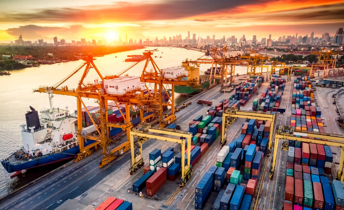 3PL vs. In-House Logistics: Which Is Right for Your Business?